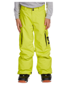 Dc Banshee Youth Pant - Sulphur Spring Snow Pants - Trojan Wake Ski Snow