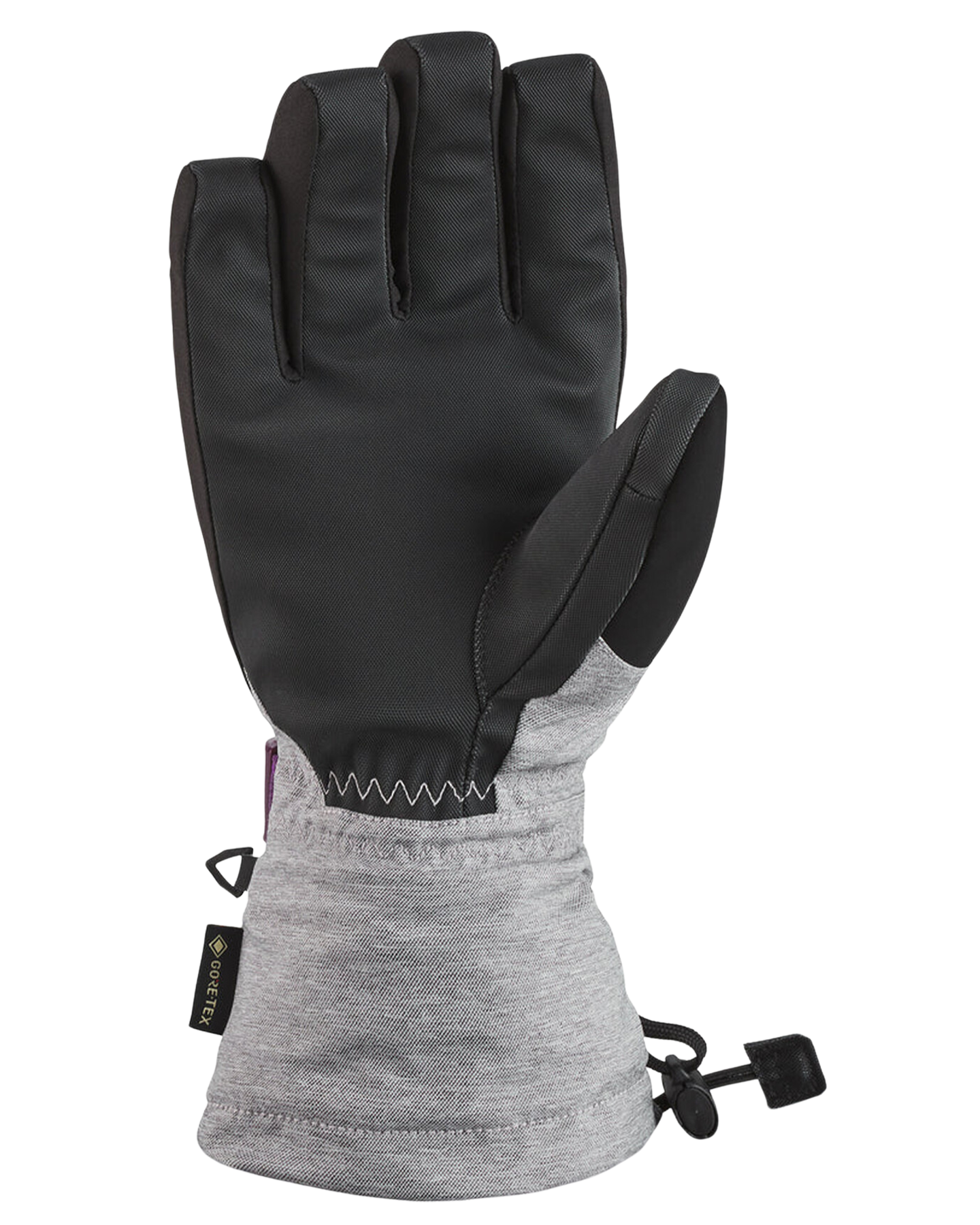 Dakine Women's Sequoia Gore-Tex Glove Snow Gloves & Mittens - Trojan Wake Ski Snow