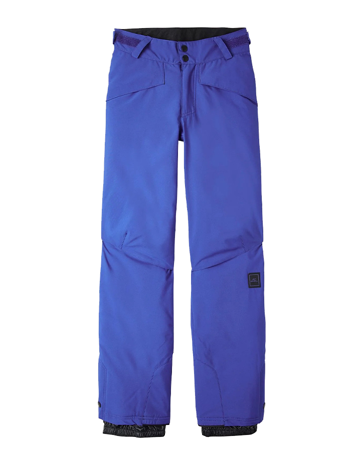 O'Neill Kids' Hammer Pants - Surf The Web Blue Snow Pants - Trojan Wake Ski Snow