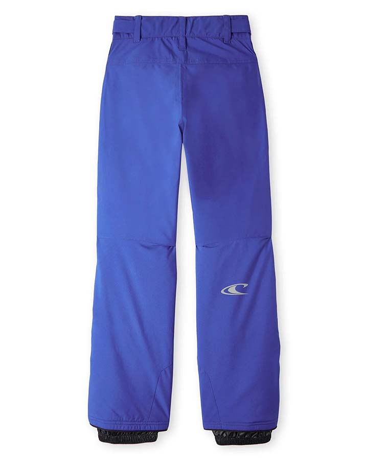 O'Neill Kids' Hammer Pants - Surf The Web Blue Snow Pants - Trojan Wake Ski Snow