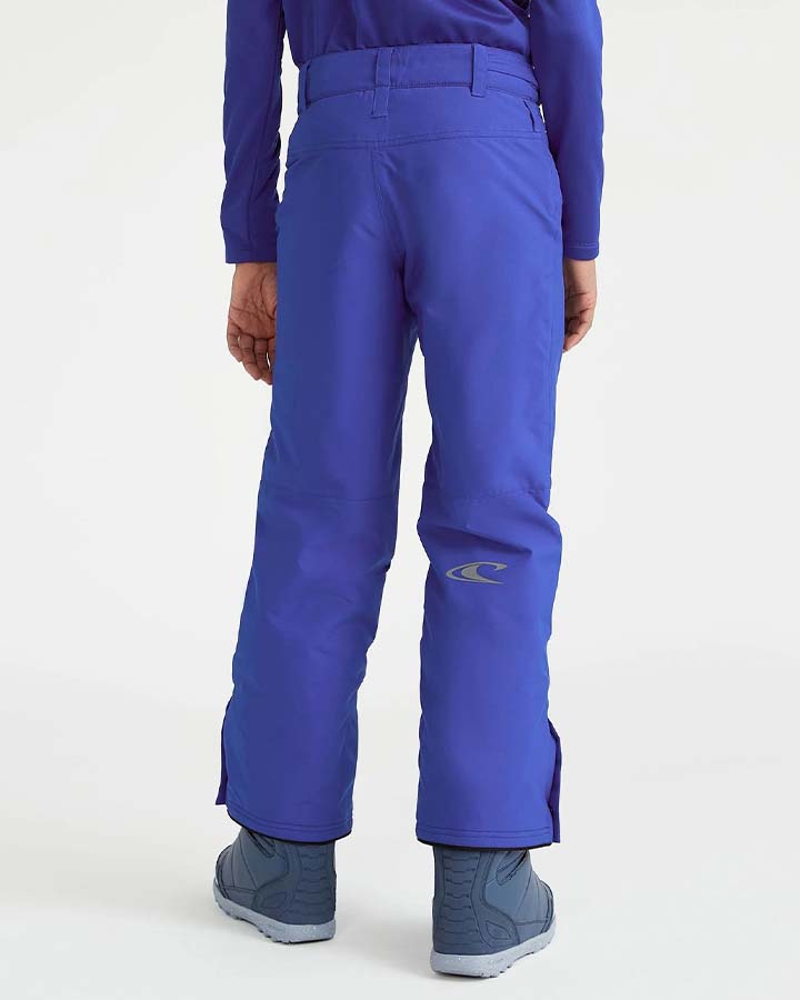 O'Neill Kids' Hammer Pants - Surf The Web Blue Snow Pants - Trojan Wake Ski Snow