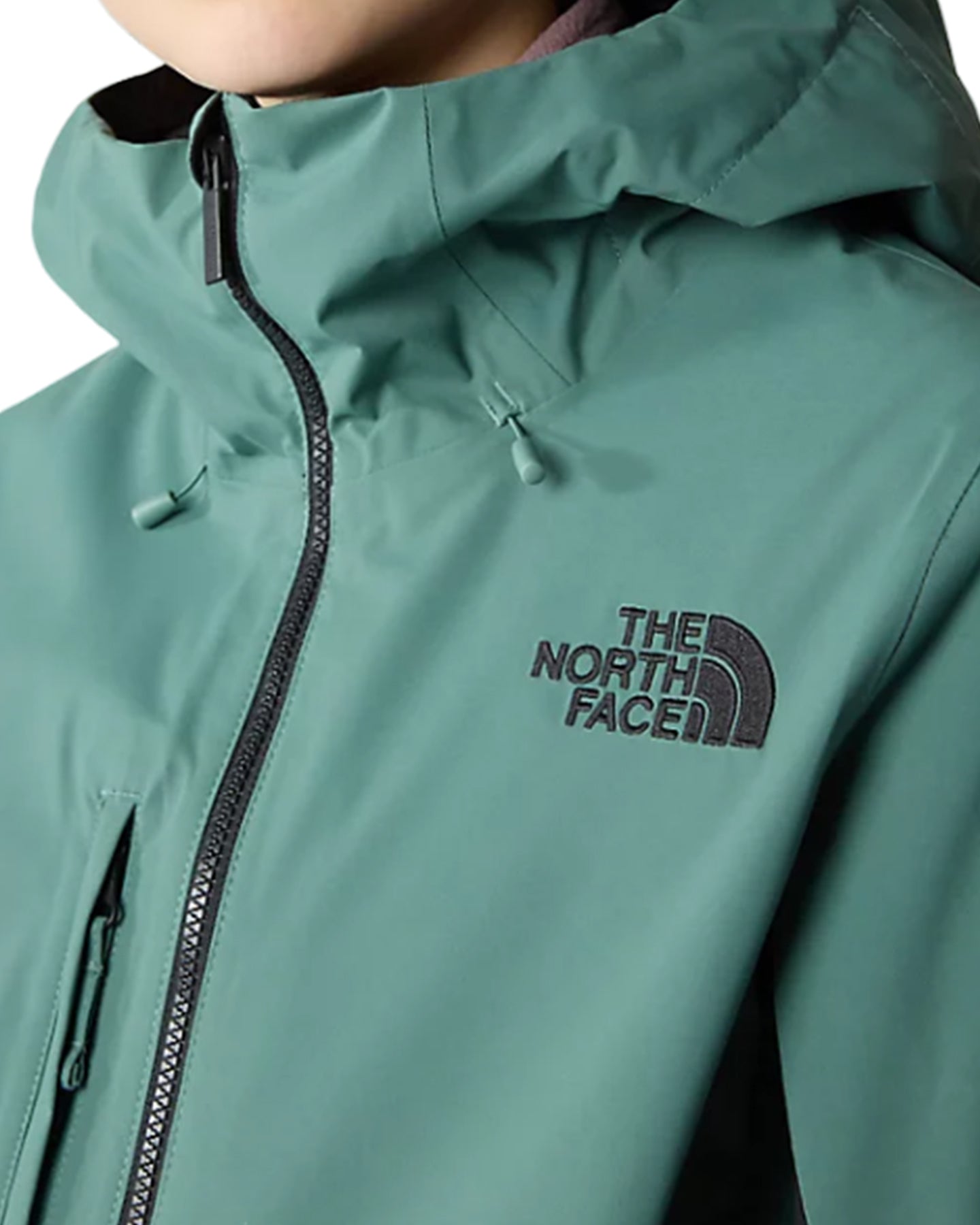 The north face women's apex hot sale flex gtx 2l snow jacket