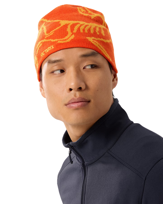 Arc'teryx Bird Head Toque Beanies - Trojan Wake Ski Snow