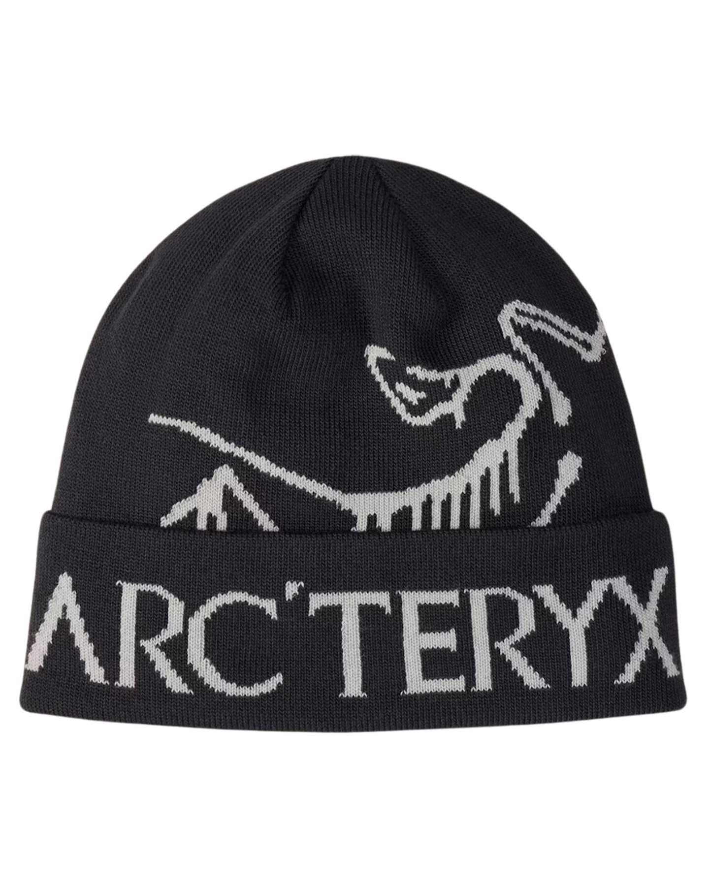 Arc'teryx Bird Word Toque Beanies - Trojan Wake Ski Snow