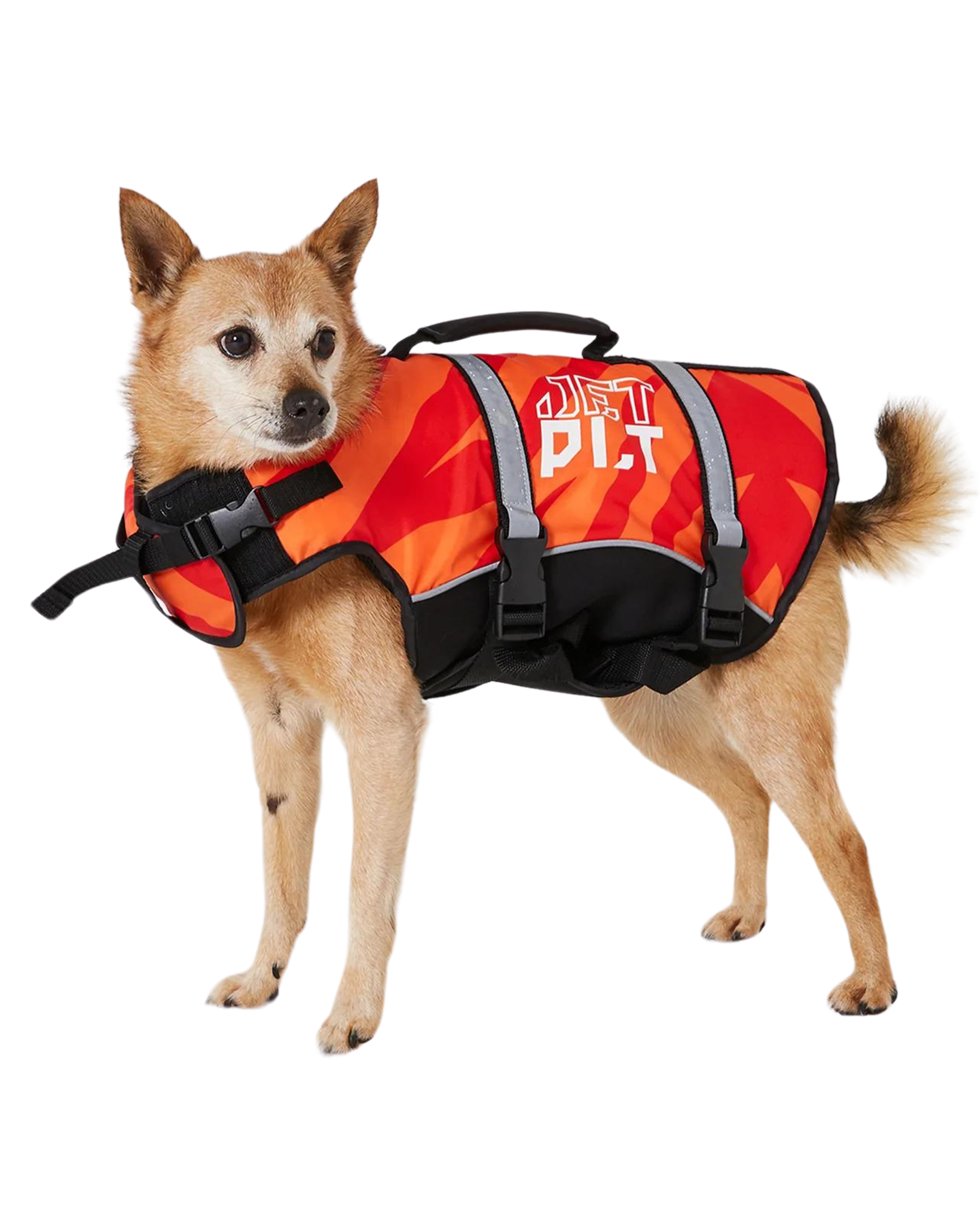 Jetpilot Dog Pfd - Red - 2024 Dog Vest - Trojan Wake Ski Snow