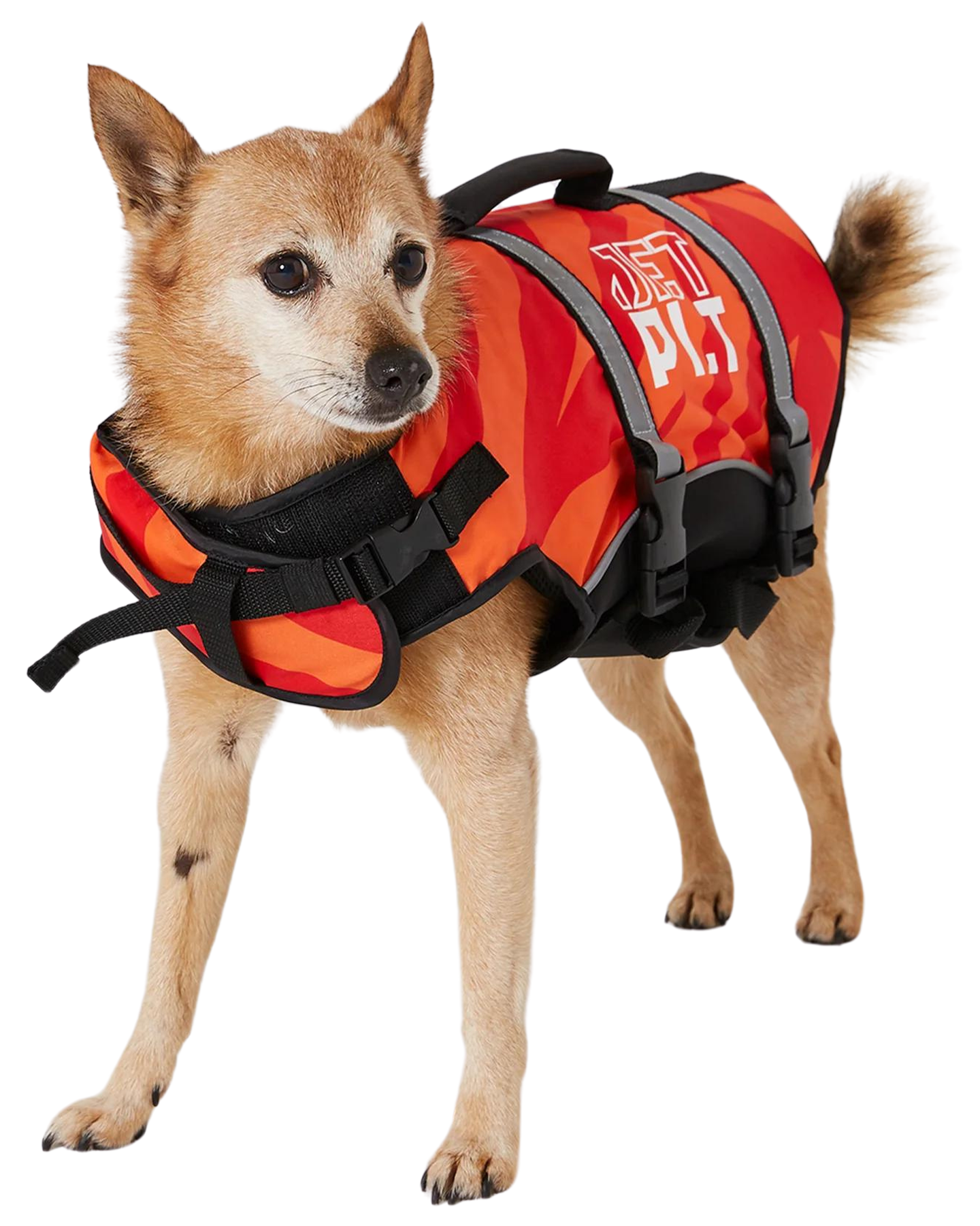 Jetpilot Dog Pfd - Red - 2024 Dog Vest - Trojan Wake Ski Snow