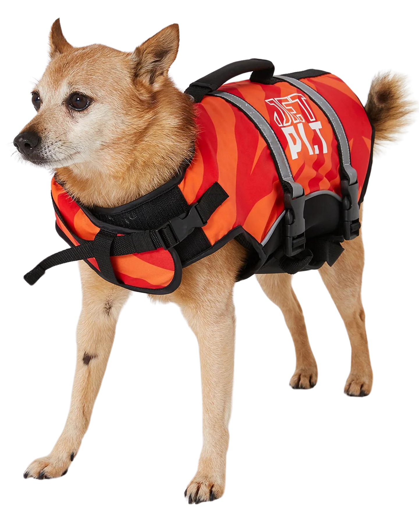 Jetpilot Dog Pfd - Red - 2024 Dog Vest - Trojan Wake Ski Snow